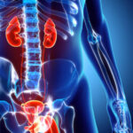 Prostate Health Reviews