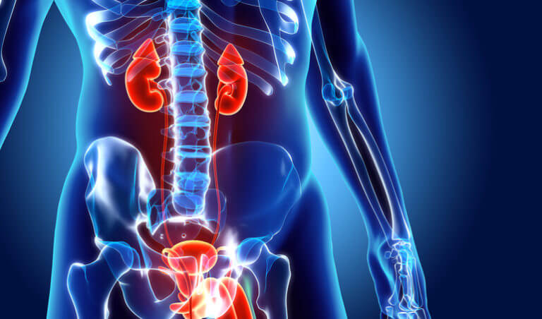 Prostate Health Reviews